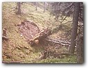 Foto_030.jpg