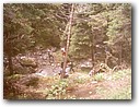 Foto_032.jpg