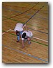 Foto_107.jpg