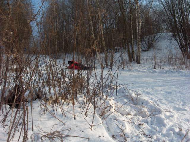 Foto_120.jpg