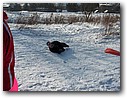 Foto_008.jpg