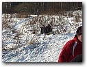 Foto_046.jpg