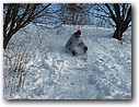 Foto_110.jpg