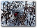 Foto_111.jpg