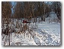 Foto_120.jpg