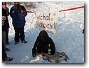Foto_142.jpg