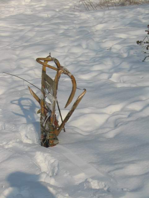 Foto_024.jpg