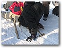 Foto_021.jpg