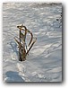Foto_024.jpg
