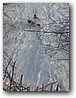 Foto_101.jpg
