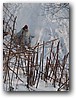 Foto_104.jpg