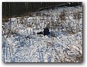 Foto_115.jpg