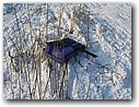 Foto_134.jpg
