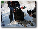 Foto_139.jpg