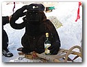Foto_140.jpg
