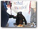 Foto_141.jpg