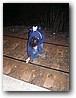 Foto_051.jpg