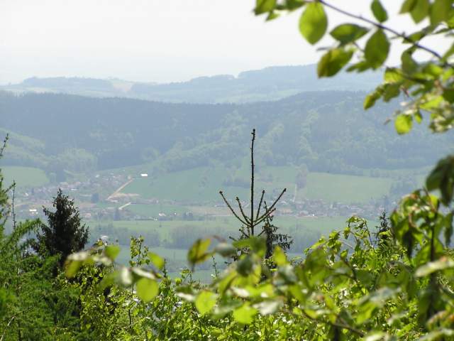 Foto_027.jpg
