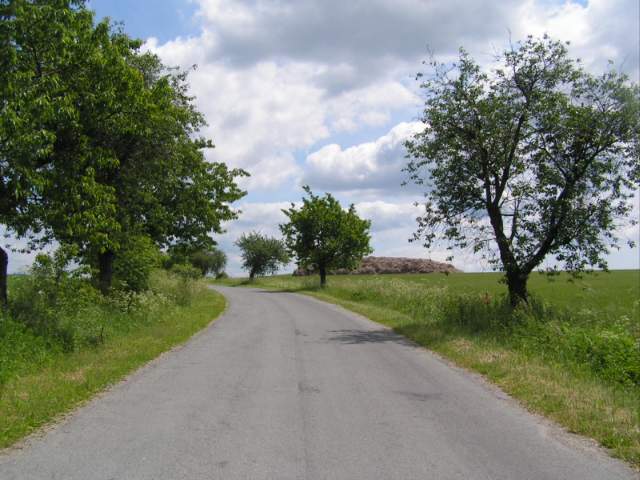 Foto_001.jpg