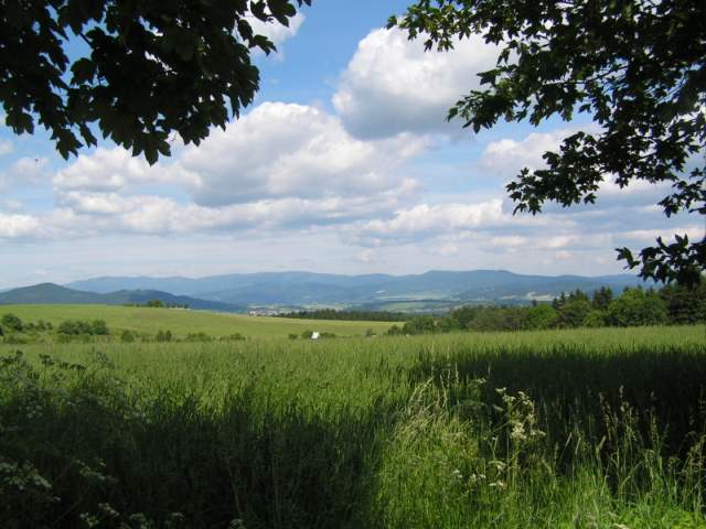 Foto_035.jpg