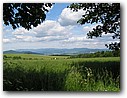 Foto_035.jpg