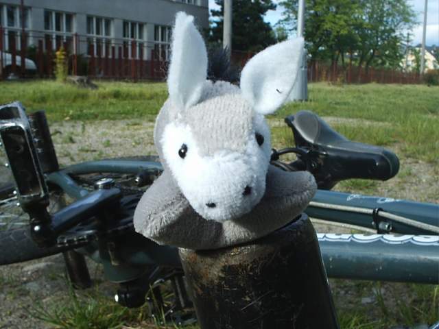 Foto_013.jpg