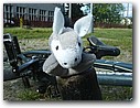 Foto_013.jpg