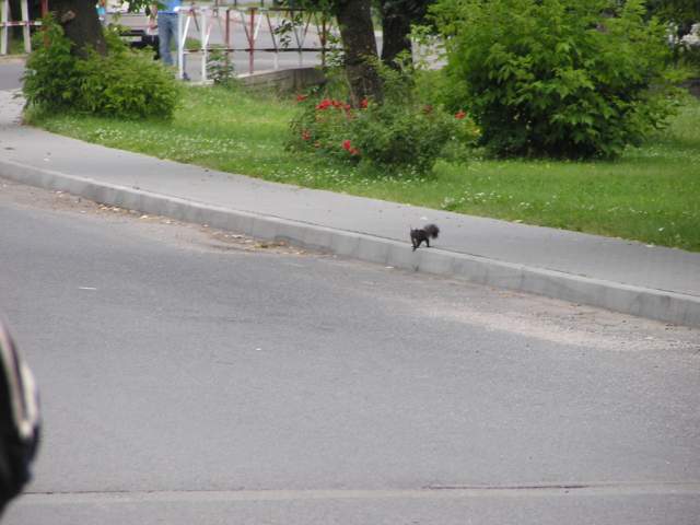 Foto_008.jpg