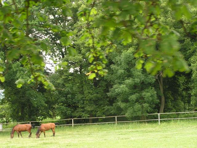 Foto_049.jpg