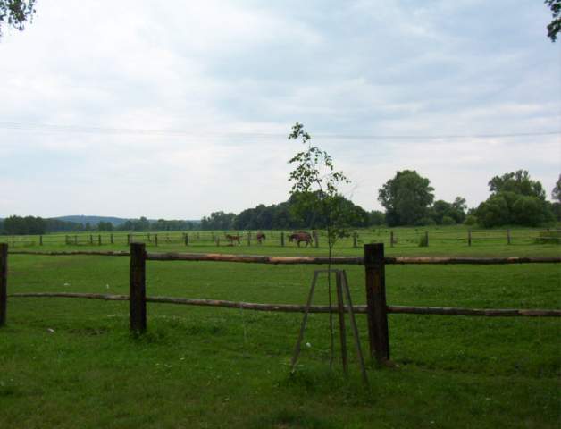 Foto_049.jpg