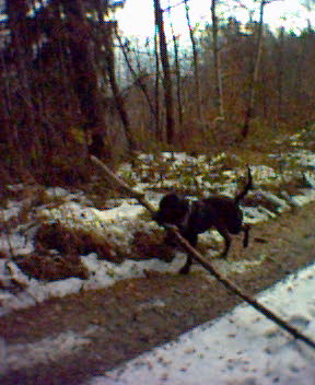 Foto_014.jpg