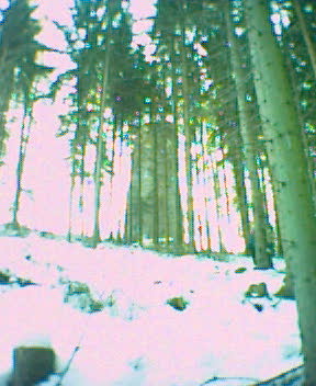 Foto_016.jpg