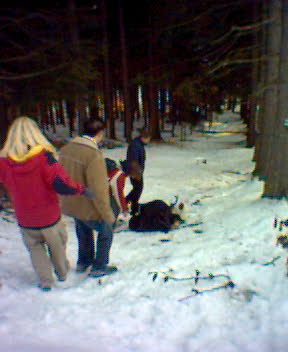 Foto_026.jpg