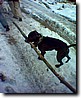 Foto_011.jpg