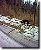 Foto_012.jpg