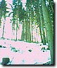 Foto_016.jpg