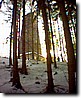 Foto_017.jpg