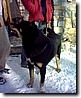 Foto_021.jpg