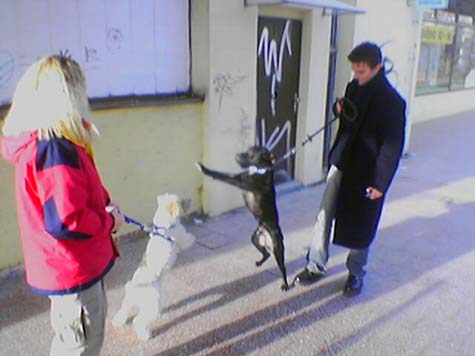 Foto_002.jpg