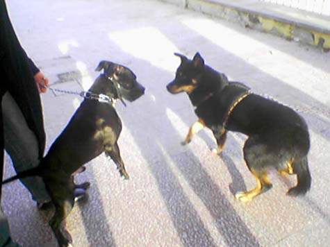 Foto_003.jpg