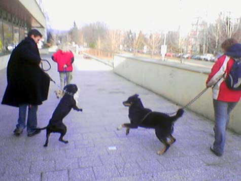 Foto_004.jpg