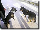 Foto_003.jpg