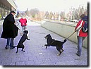 Foto_004.jpg