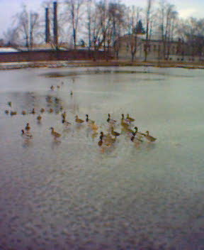 Foto_022.jpg