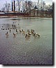 Foto_022.jpg