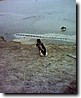 Foto_047.jpg