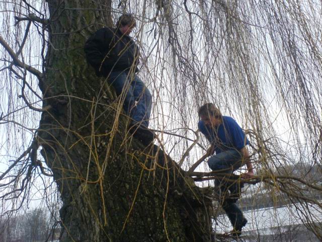 Foto_017.jpg
