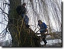 Foto_017.jpg