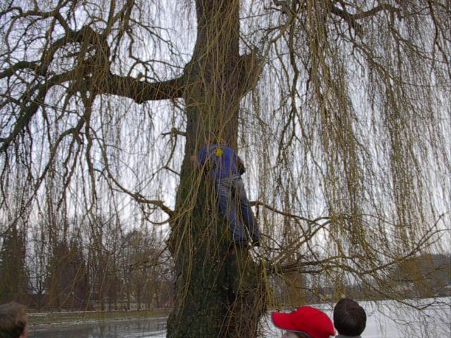 Foto_012.jpg