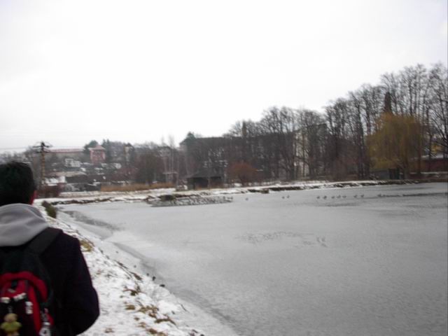 Foto_015.jpg